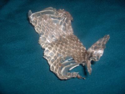 20081026133139-piel-serpiente.jpg