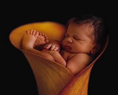 20081213191600-bebe5.jpg-440.jpg