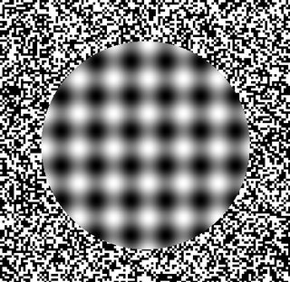 20090120132041-mareo.jpg